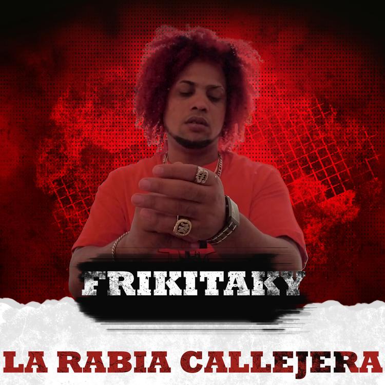 La Rabia Callejera's avatar image