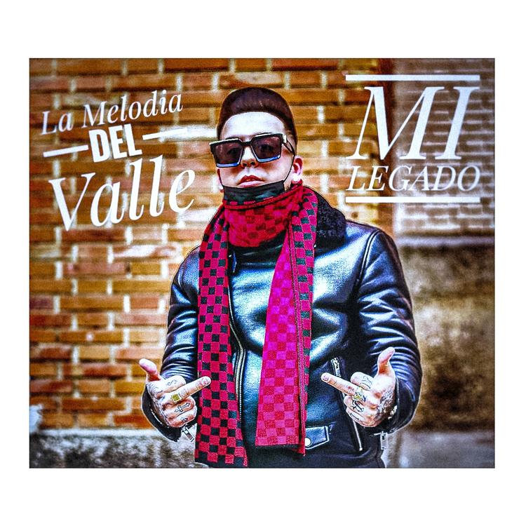 La Melodia Del Valle's avatar image
