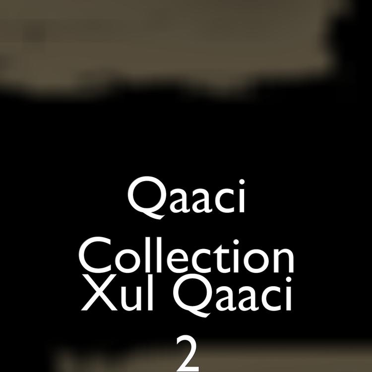 Qaaci Collection's avatar image