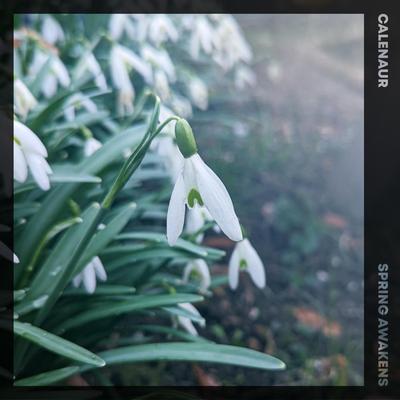Spring Awakens By Calenaur's cover