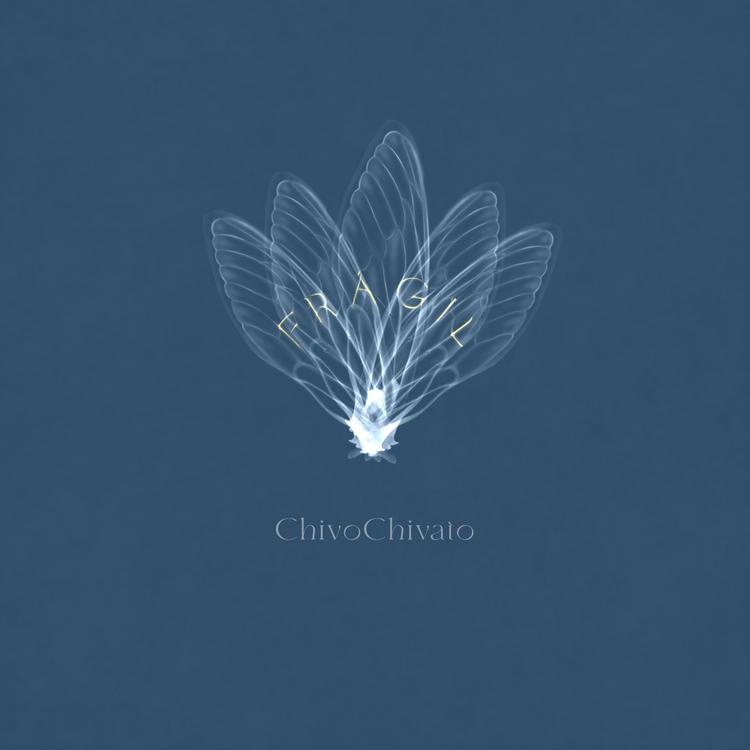 ChivoChivato's avatar image