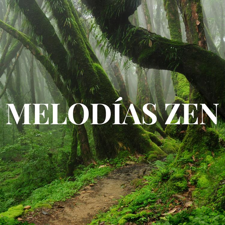 Melodías Zen's avatar image