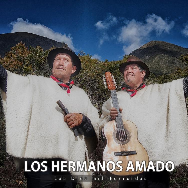 Los Hermanos Amado's avatar image