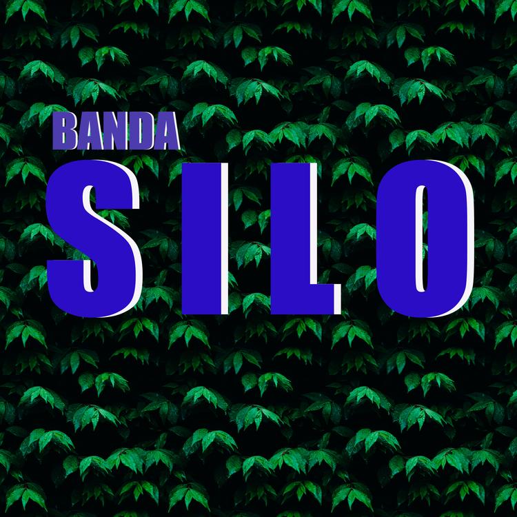 Banda Silo's avatar image