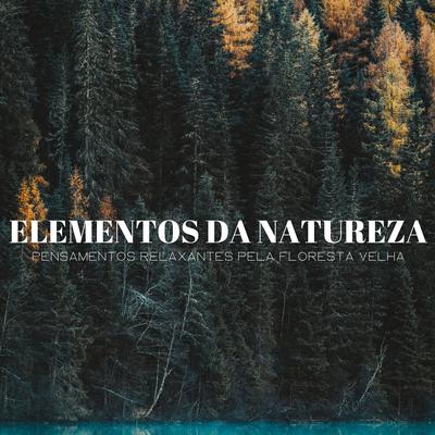 Elementos Da Natureza: Pensamentos Relaxantes Pela Floresta Velha's cover