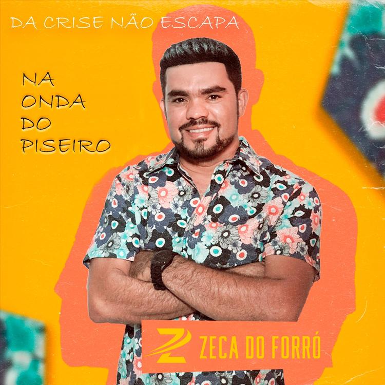 Zeca do Forró's avatar image