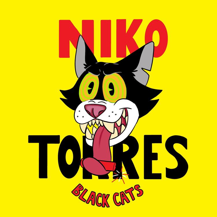 Niko Torres's avatar image