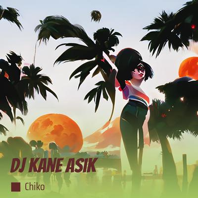 Dj Kane Asik's cover