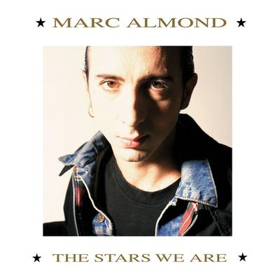 Tears Run Rings By Marc Almond's cover