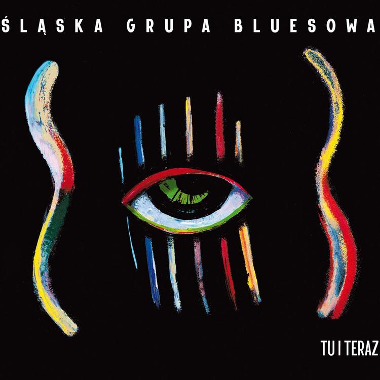 Śląska Grupa Bluesowa's avatar image