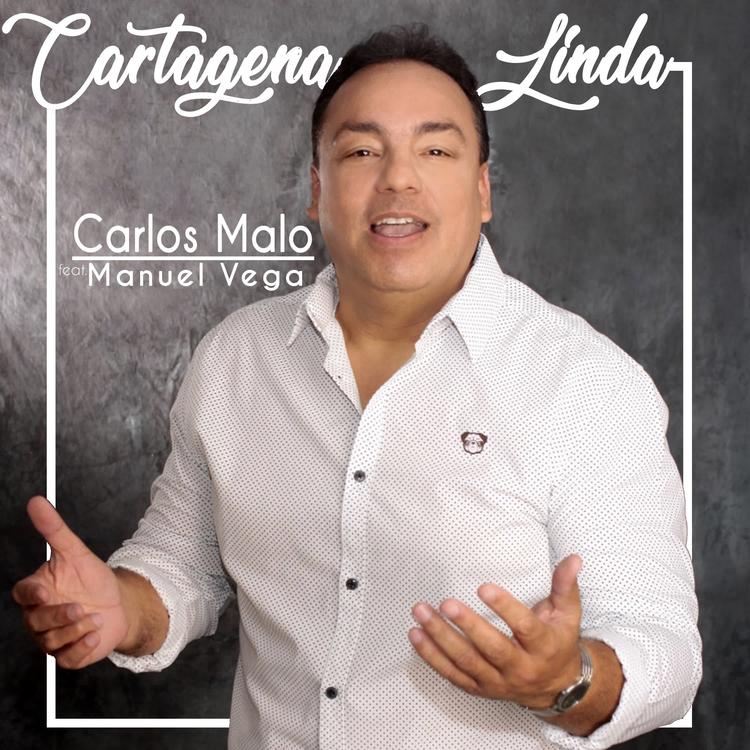 Carlos Malo's avatar image