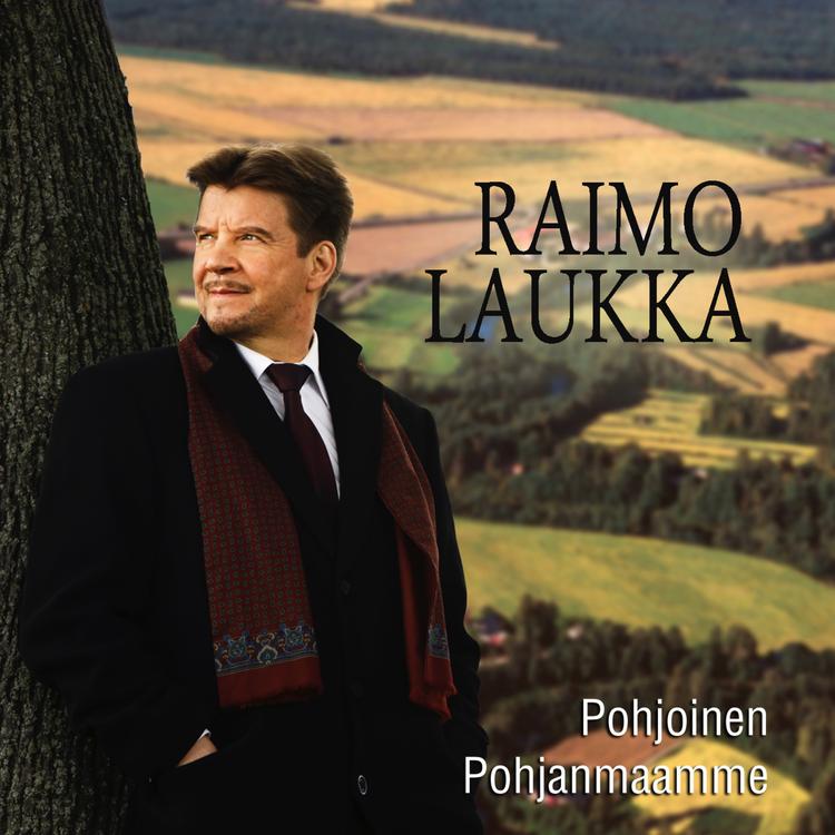 Raimo Laukka's avatar image