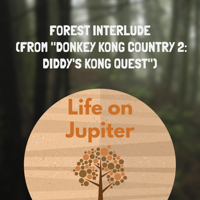 Forest Interlude (From "Donkey Kong Country 2: Diddy's Kong Quest) By Life on Jupiter's cover