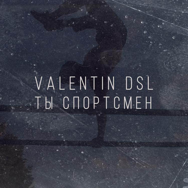 Valentin DSL's avatar image