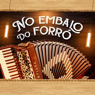 Velho Sanfoneiro By Junior Vianna's cover