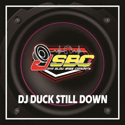 DJ Duck Still Down BWI's cover