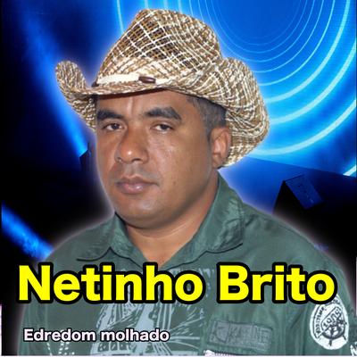 Amor Perfeito By Netinho Brito's cover