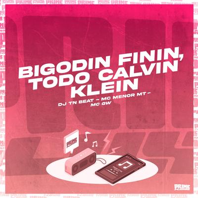 Bigodin Finin - Todo Calvin Klein By DJ TN Beat, Mc Gw, MC Menor MT's cover