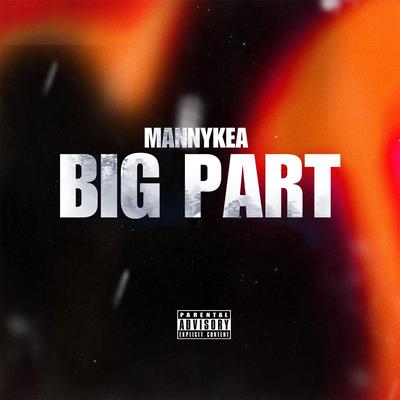 BIG PART's cover