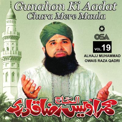 Gunahon Ki Aadat Chura Mere Maula, Vol. 19's cover