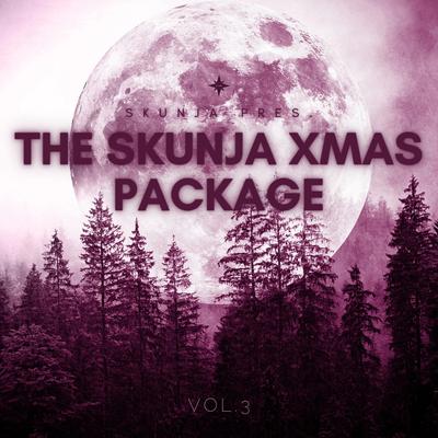 The Skunja Xmas Package, Vol. 3's cover