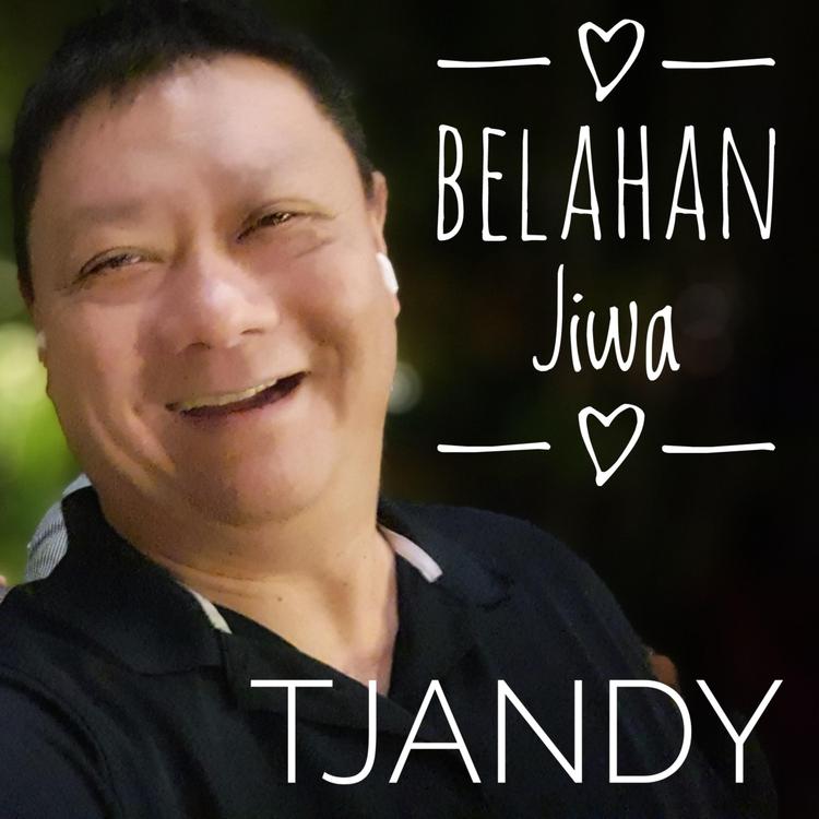 Tjandy's avatar image