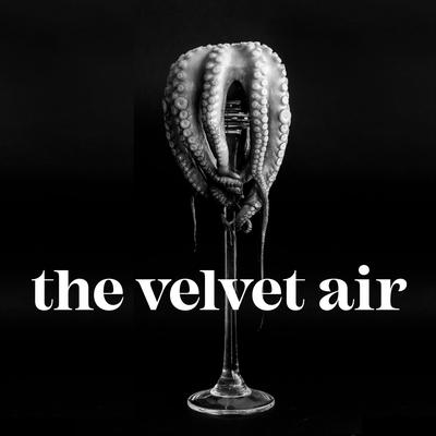 Save Us By The Velvet Air's cover