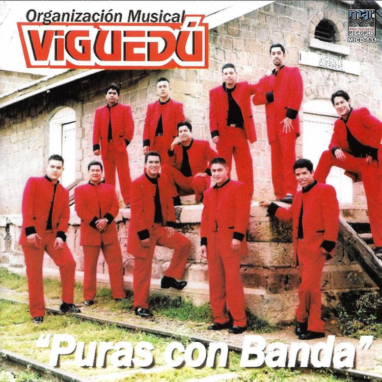 Organizacion Musical Viguedu's avatar image