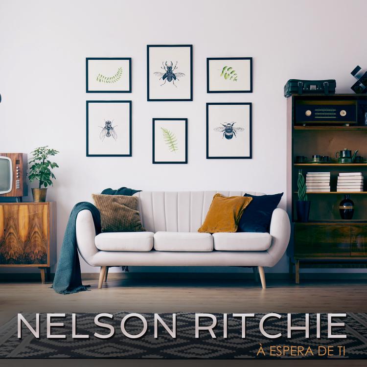 Nelson Ritchie's avatar image
