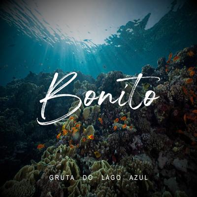 Bonito - Gruta do Lago Azul's cover