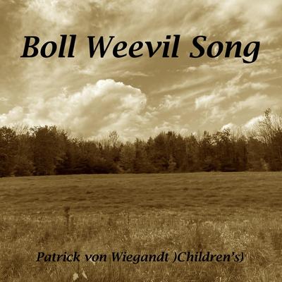 Boll Weevil Song's cover