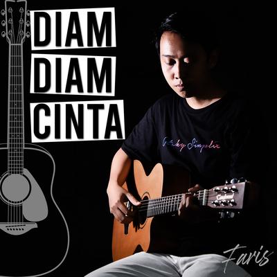 Faris's cover