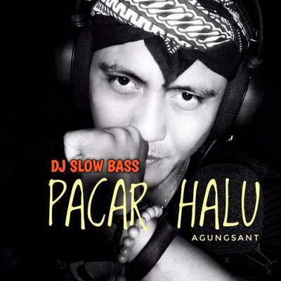 Pacar Halu (DJ Slowbass)'s cover