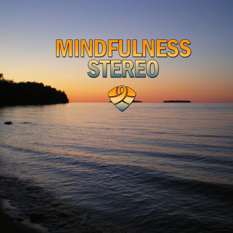Mindfulness Stereo's avatar image