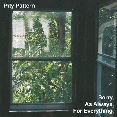 Pity Pattern's cover