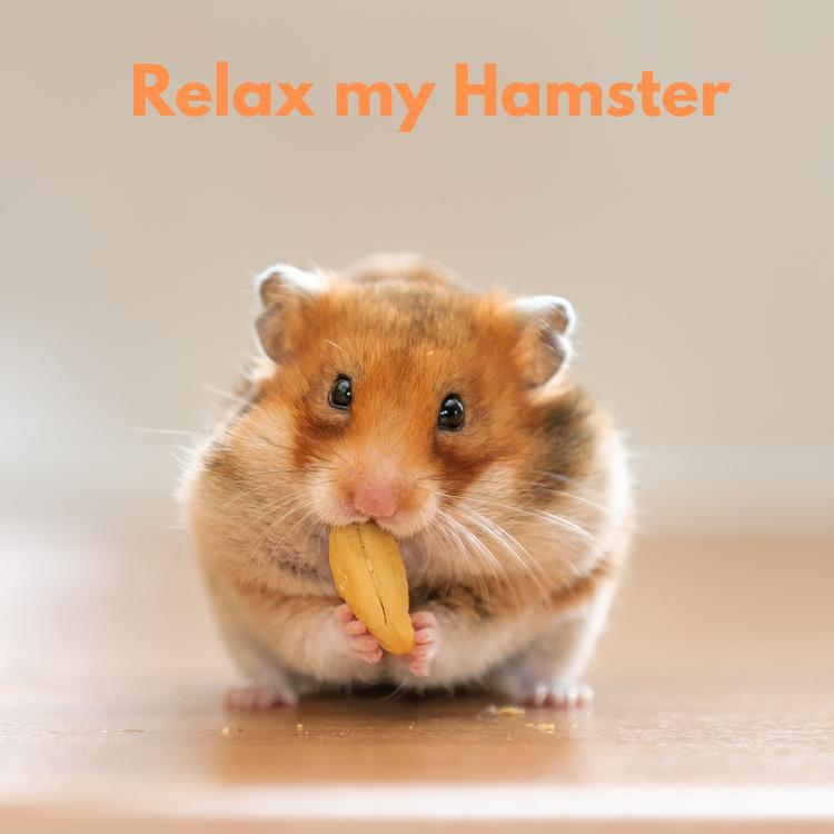 The Hamster Helper's avatar image