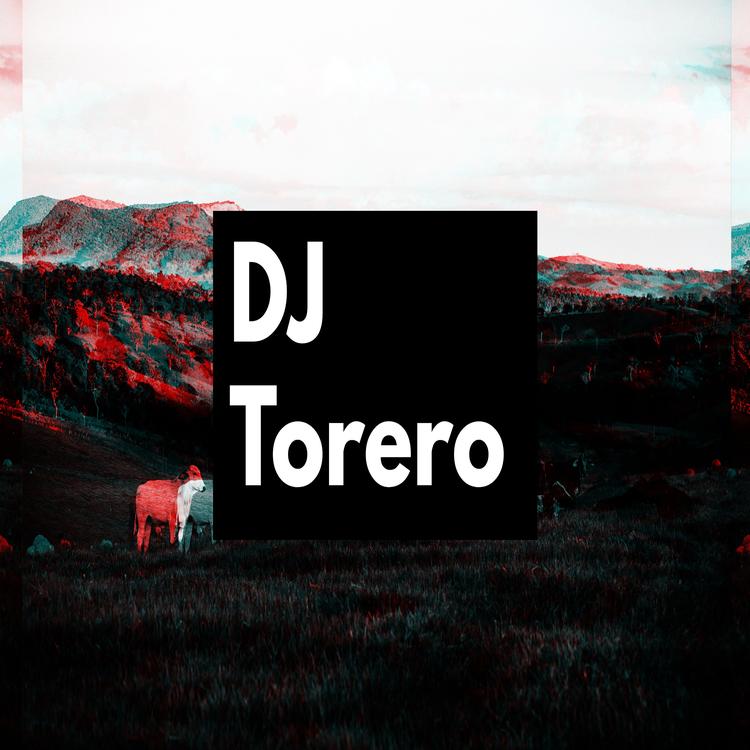 DJ Torero's avatar image