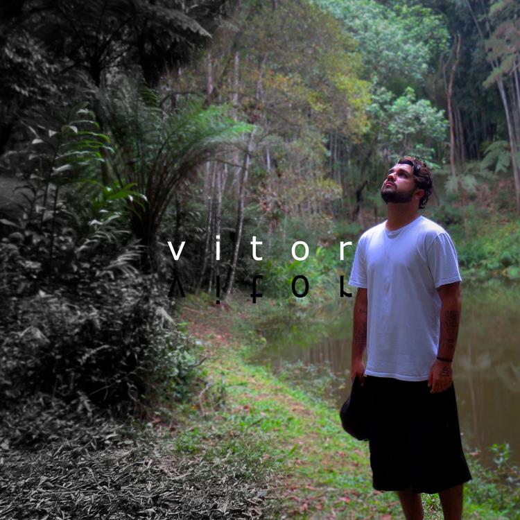 Vitor Vieira's avatar image