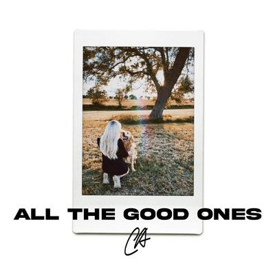 All The Good Ones's cover