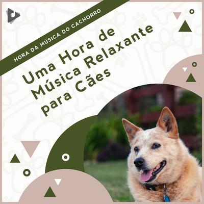 Ambiente relaxante para ansiedade By Música Relaxante para Cachorros, Música de Cachorro Calmante, Hora da Música do Cachorro's cover