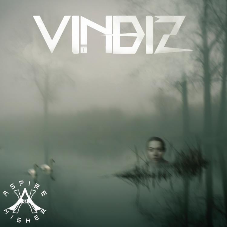 Vindiz's avatar image