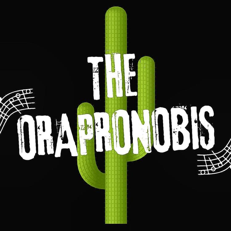 The Orapronobis's avatar image
