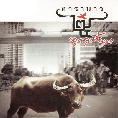 Luk Lung Kee Mao By Carabao's cover