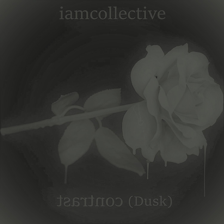 iamcollective's avatar image