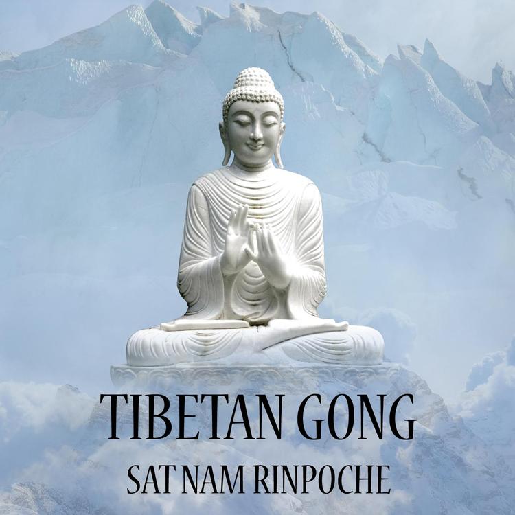 Sat Nam Rinpoche's avatar image