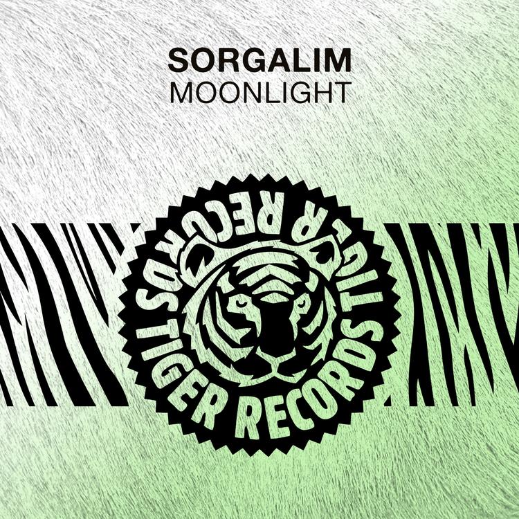 Sorgalim's avatar image