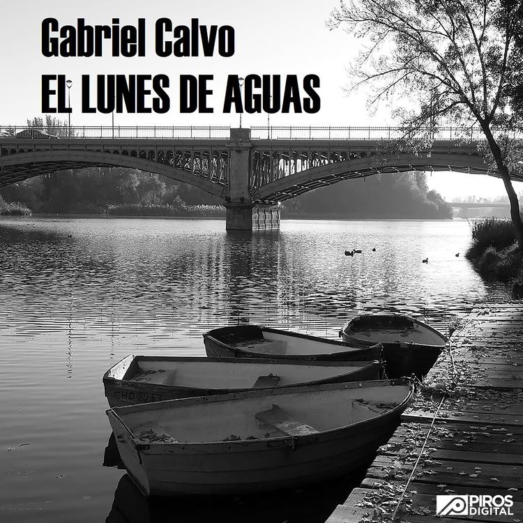 Gabriel Calvo's avatar image