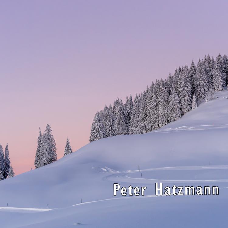 Peter Hatzmann's avatar image
