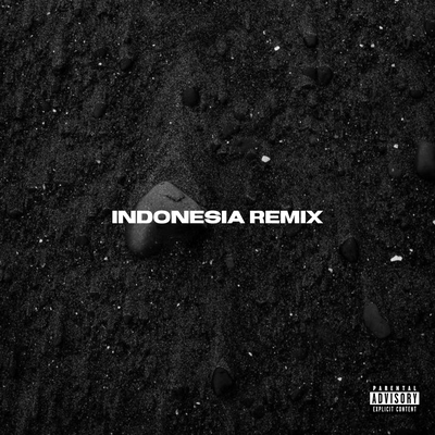 INDONESIA (REMIX)'s cover