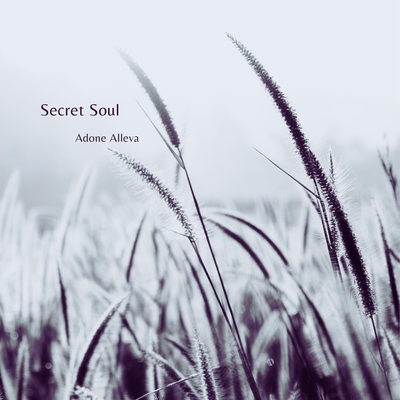 Secret Soul By Adone Alleva's cover